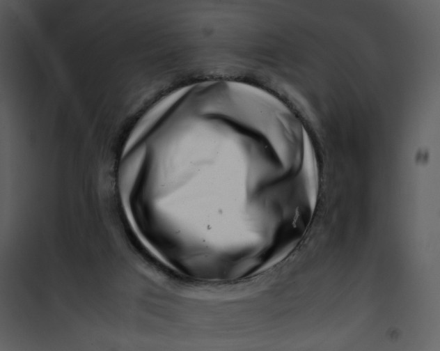 X0000101170017200807181434