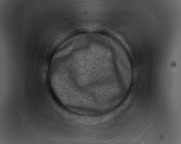 X0000101170018200807181434