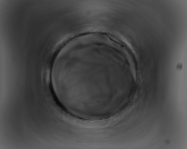 X0000101170019200807181434