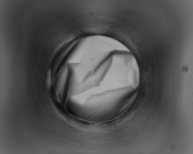 X0000101170020200807181434
