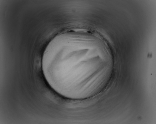 X0000101170021200807181434