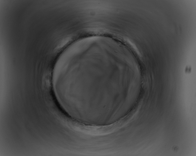 X0000101170023200807181434