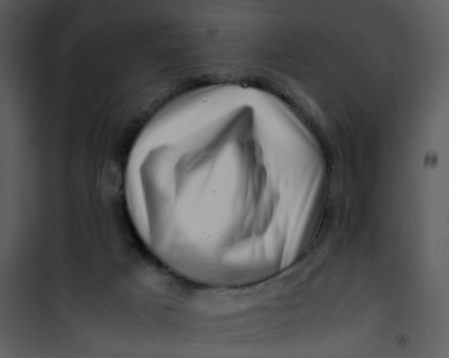 X0000101170025200807181434
