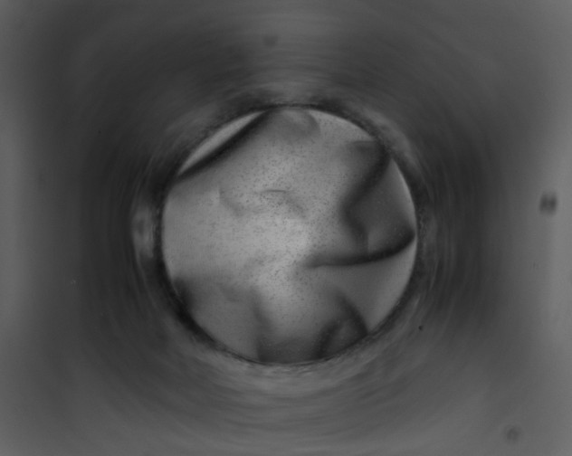 X0000101170026200807181434