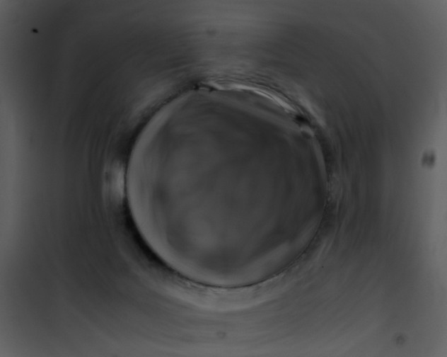 X0000101170027200807181434