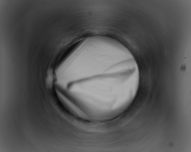 X0000101170028200807181434