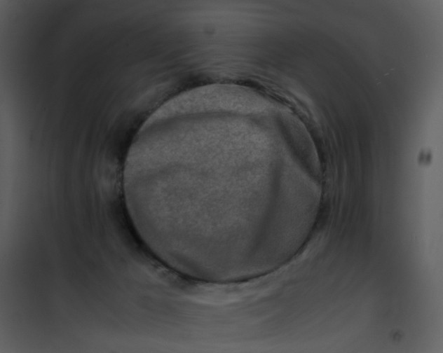 X0000101170029200807181434
