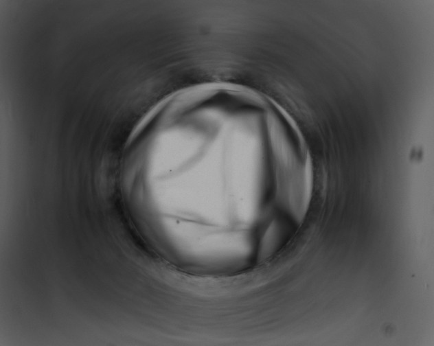 X0000101170030200807181434