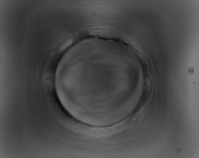 X0000101170031200807181434
