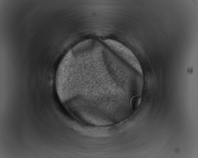 X0000101170032200807181434