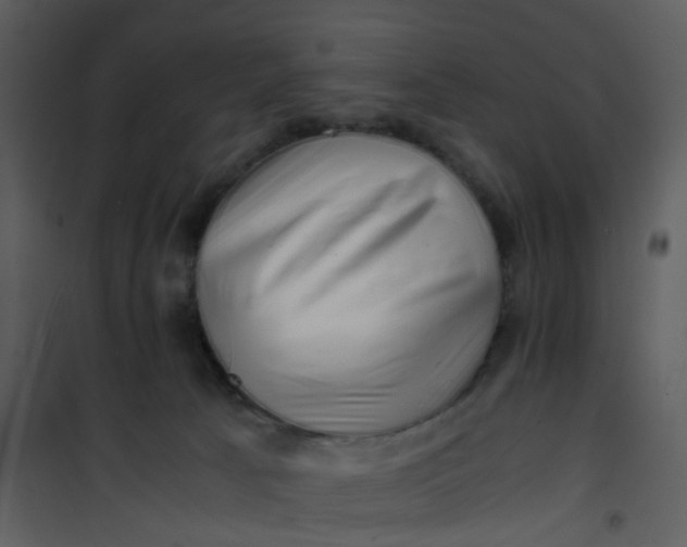 X0000101170033200807181434