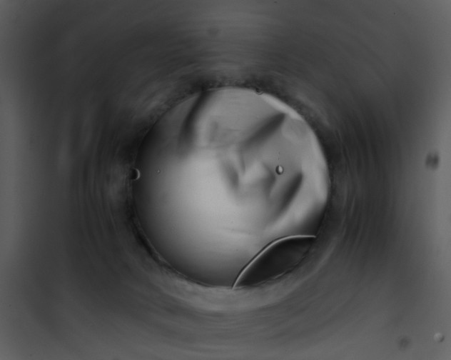 X0000101170034200807181434