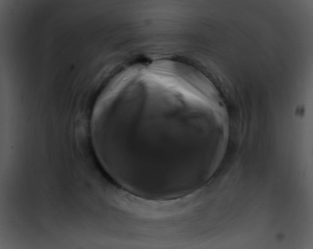 X0000101170035200807181434