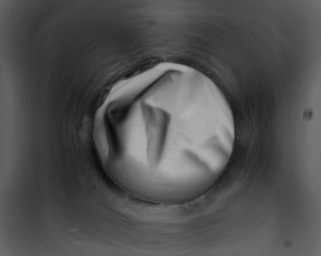 X0000101170036200807181434
