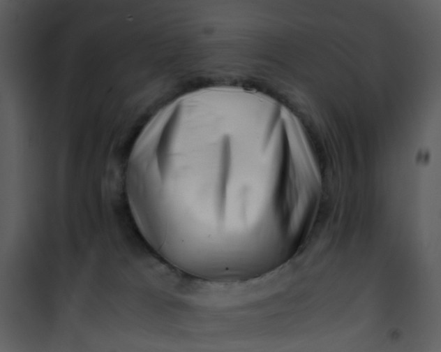 X0000101170037200807181434