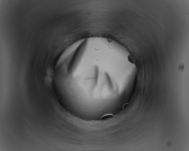 X0000101170038200807181434