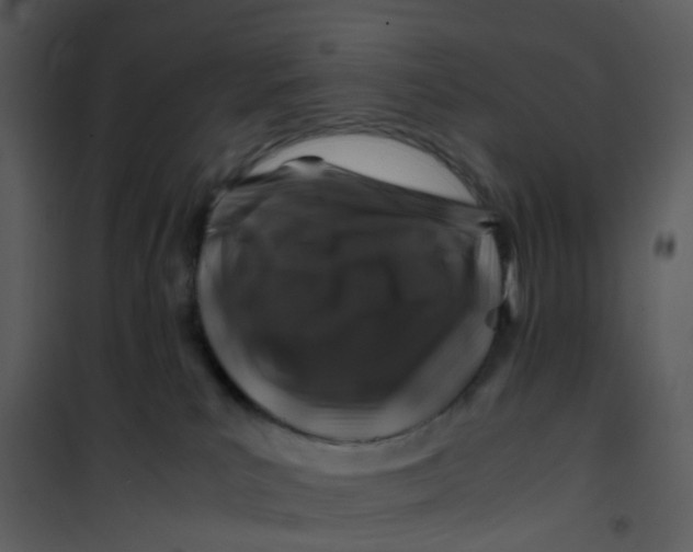 X0000101170039200807181434