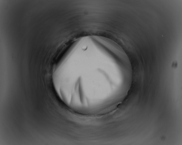 X0000101170040200807181434