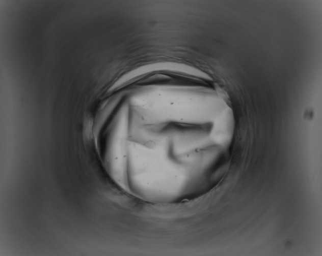 X0000101170041200807181434