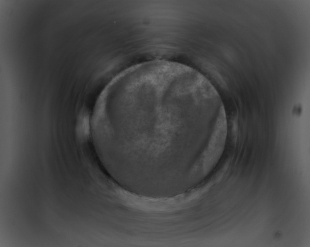 X0000101170042200807181434