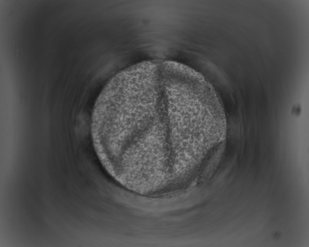 X0000101170043200807181434