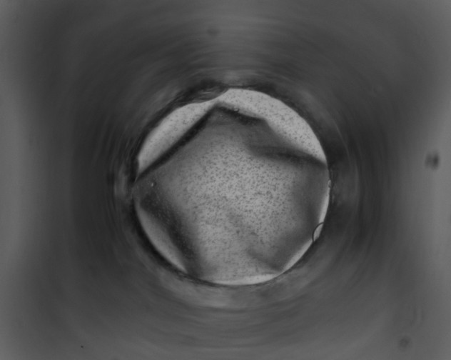 X0000101170044200807181434