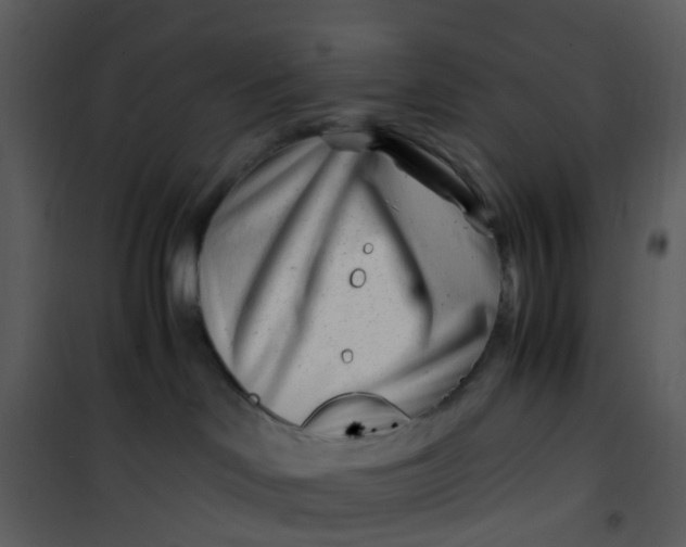 X0000101170046200807181434