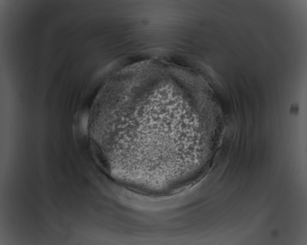 X0000101170047200807181434