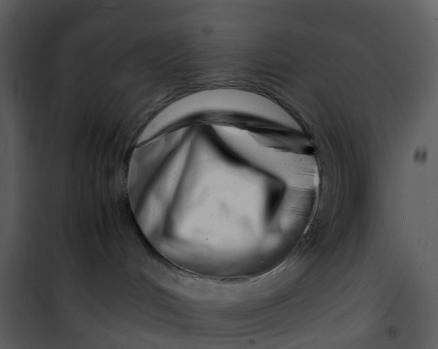 X0000101170048200807181434