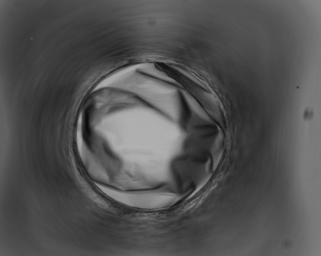 X0000101170049200807181433