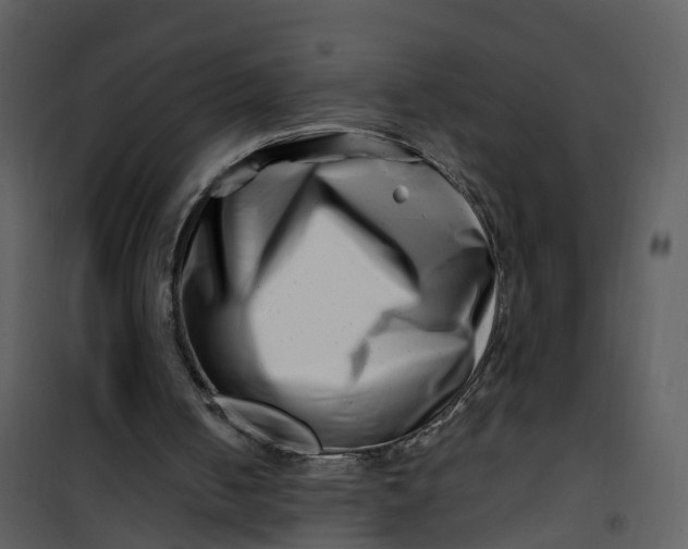 X0000101170050200807181433