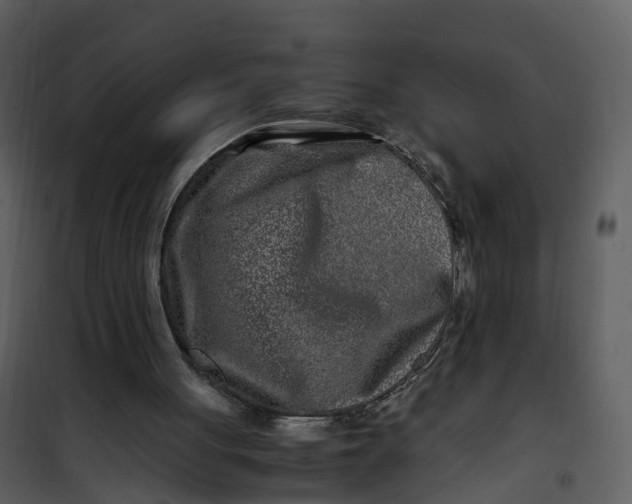 X0000101170051200807181433