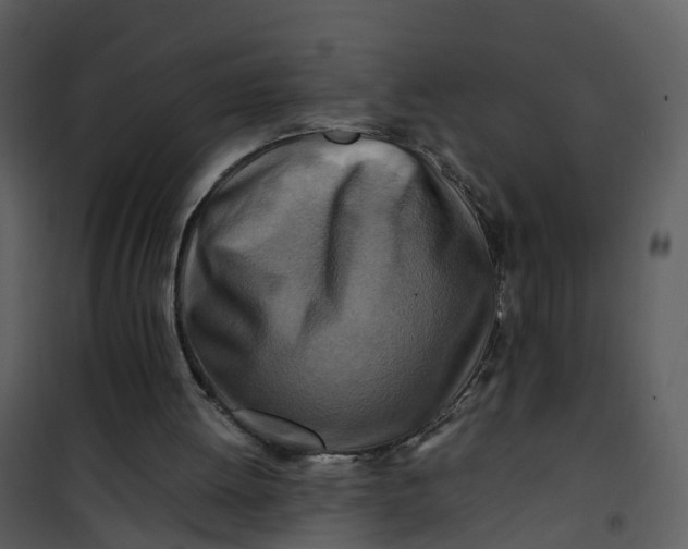 X0000101170052200807181433