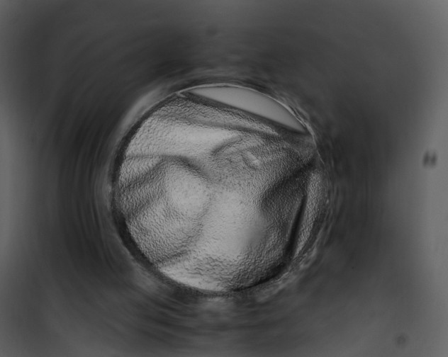 X0000101170053200807181433