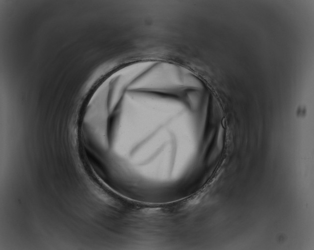 X0000101170054200807181433
