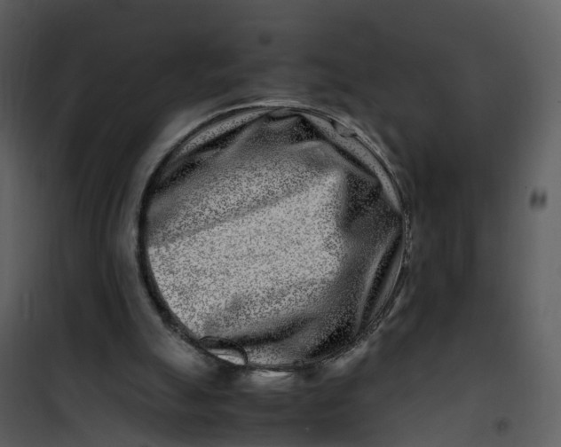 X0000101170055200807181433