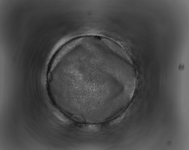 X0000101170056200807181433