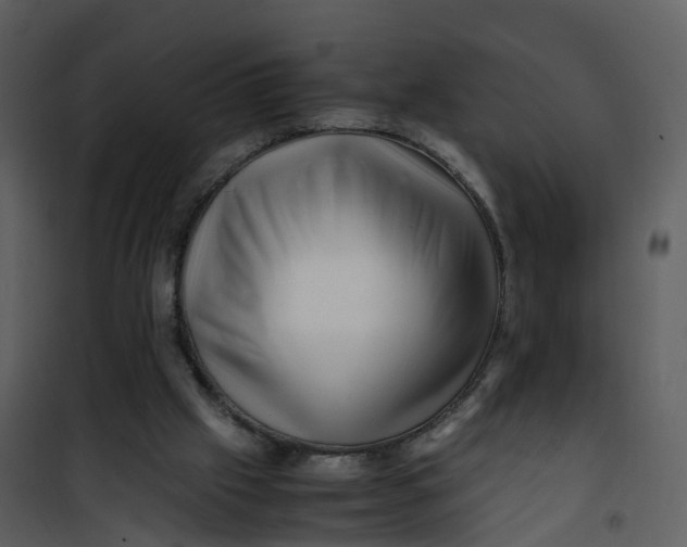 X0000101170057200807181433