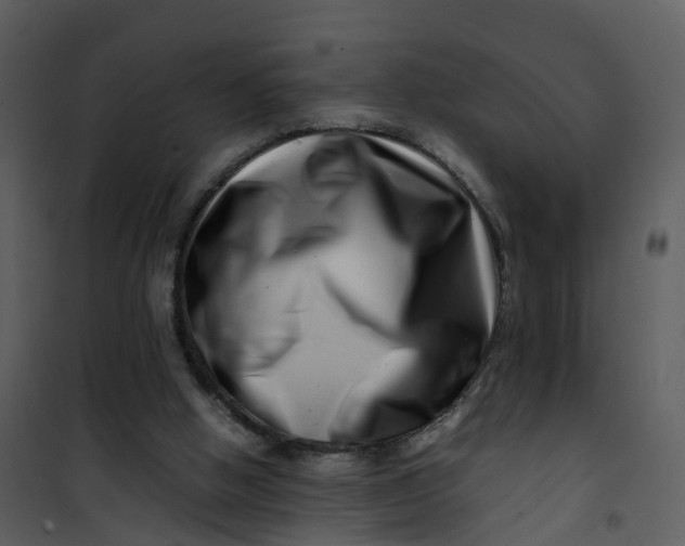 X0000101170058200807181433