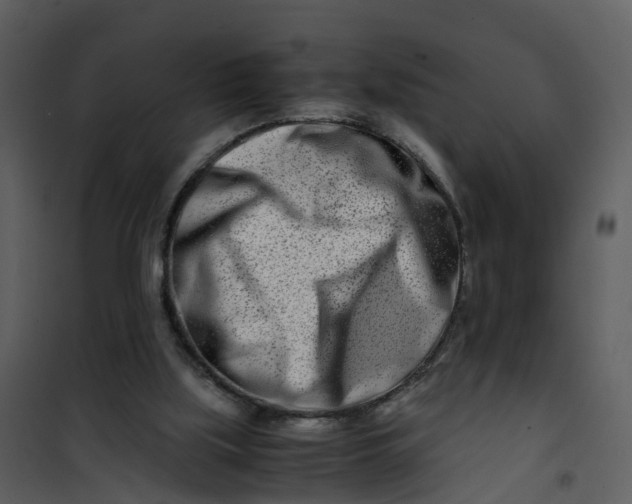 X0000101170059200807181433