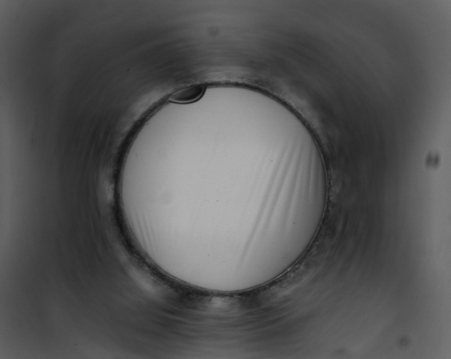 X0000101170060200807181433