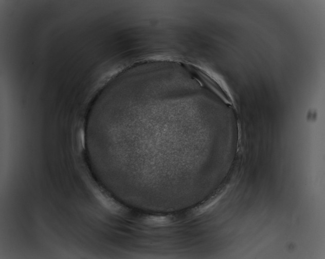 X0000101170061200807181433