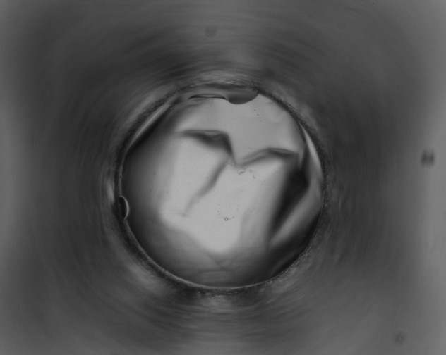 X0000101170062200807181433