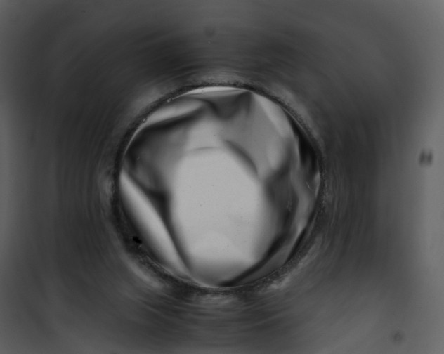 X0000101170063200807181433