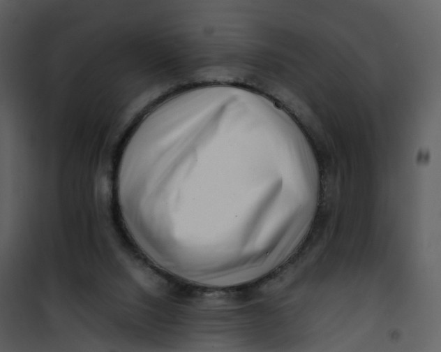 X0000101170064200807181433