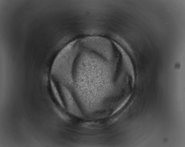 X0000101170065200807181433