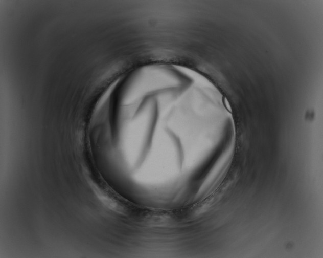 X0000101170066200807181434