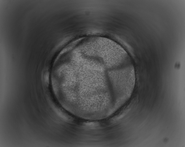 X0000101170067200807181434