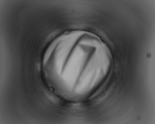 X0000101170068200807181434