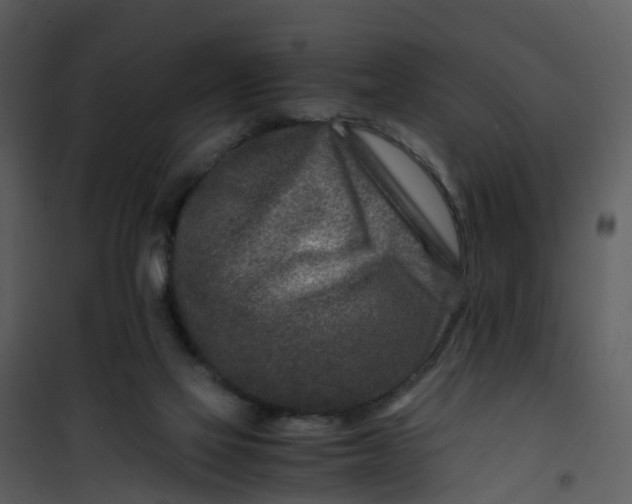 X0000101170069200807181434